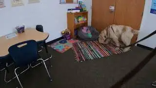 Strafford PA ELT P Safe Spaces 6 min Unknown 7 hides 2 15 26