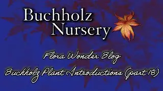 Flora Wonder | Buchholz Plant Introductions (Part 18)