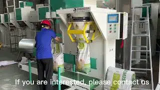 Semi automatic feed/seed/sugar/flour packaging machine for 5kg 15kg 25kg 50kg bag#packingmachine