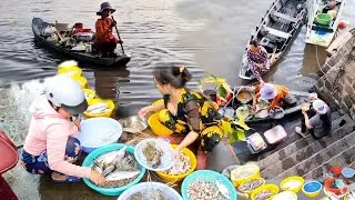 Chợ Châu Đốc – Bún Cá Ghe Sông Hậu, Nhiều Đặc Sản Mắm Ngon Nức Tiếng Miền Tây An giang