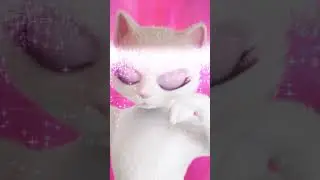 KITTY Cat - cat food with DIVA-EFFECT