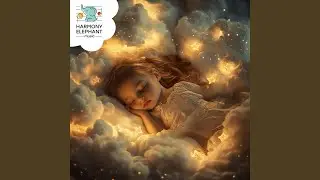Little Haven