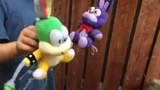 Koopa vacation !!!!