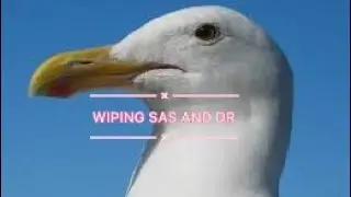 Wiping sas and DR [ARK MOBILE] #like  #subscribe  #arkmobilepvp #ark #ez