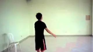 Nik Flip VI