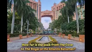 Walk from The Cove to The Royal at Atlantis in the Bahamas