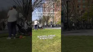 This couple shocked everyone at the New York Park 😂 Feat. @girlsorwomen & @heathenmedicbrad