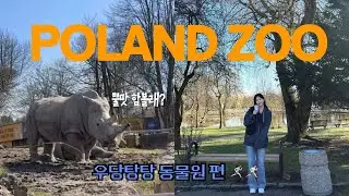 간호사 퇴사후 유럽살기🌳| 폴란드 적응기 7탄🇵🇱 | 우당탕탕 동물원 편🐘