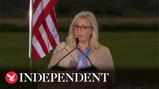 Liz Cheney concedes in Wyoming primary election