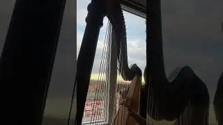 Make you feel my love - Adele harp cover