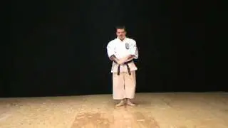 Seisan Kata of Isshin-ryu Karate Michael Calandra