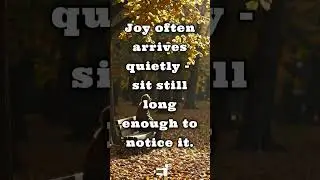 Joy often arrives quietly&mdash;sit still long enough to notice it.