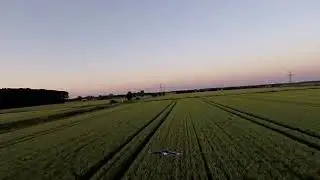Caipi 2 X5 Chasing