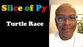 Python Turtle Race
