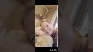 Onlinekurse: wie frisiere ich meinen Hund selbst&auml;ndig und ohne Druck oder Gewalt...#hunde