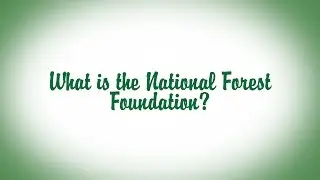 What is the National Forest Foundation?