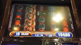 King of Africa super big win bonus
