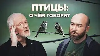 О чём поют птицы и как они понимают друг друга? — Семихатов, Квартальнов