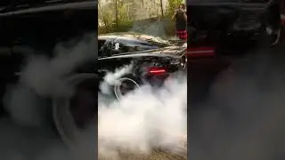 Moracks C6 Burnout JAX FL. (Chopwild legal pit) #C6#burnout#JAX