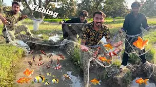 Bahut Sari Colourful Fishes 🐟 Pakad Li 🥳