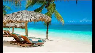 Tropical Beach Music Playlist - 1 Hour of Relaxing Tropical Caribbean, Beach & Island Music ☀️🌴