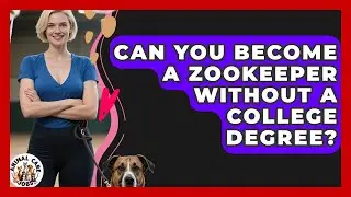 Can You Become a Zookeeper Without a College Degree? | Animal Care Jobs