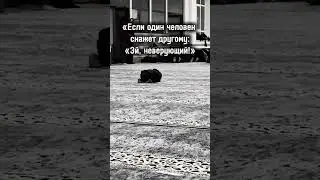 Достоверный хадис Аль Бухари #islamhadees #islamicstatus #islamicshorts #islam #islamic