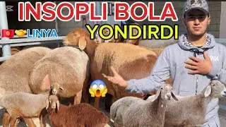 😱INSOPLI BOLAGA TOZZA QIRGʻIZISTON LINYALI ONA BOLA EGIZ BOGʻOZ SOVLIQLAR YETIB KELDI NARXI ARZON 