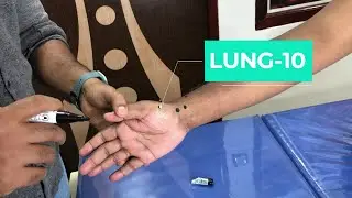 Lung 10-point | Acupuncture point in Tamil | LU-10 | Learn #acupuncture