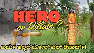 ಒಂದು ಪೈಸೆ ಖರ್ಚು ಇಲ್ಲದೆ ಬೋರ್ ವೆಲ್ ರಿಚಾರ್ | ಗೆದ್ದಲಿನ ಮನೆ | Borewell recharge | ಹುತ್ತ | 🇮🇳💛❤️
