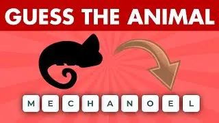 Guess The Animal From Scrambled Letters Challenge | Test Your Brain: Scrambled Animal Quiz
