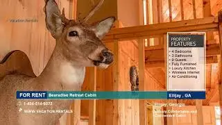 Georgia | Vacation Rentals | Bearadise Retreat Cabin | Ellijay