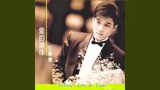 Jin Se (Wang Ran)