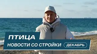 Комплекс Птица: новости со стройки | Декабрь 2025