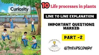 (Part -2) life processes in plants| class 7 science chapter-10 NCERT curiosity