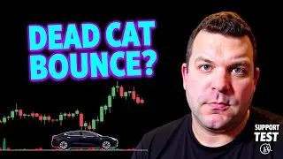 NIO Technical Analysis: Make-or-Break Support Level