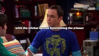 Is this a field cricket or a snow tree cricket#tvshow