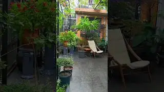 Plants For Home Garden Outdoor 🌿🌼😲 #gardening #homegarden #asmr #flower #short #trend #outdoor