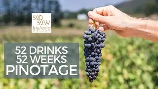 52 Drinks 52 Weeks - Pinotage