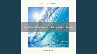 Emerge Yourself in the Calm Ocean and Let Go with Bird Tweets