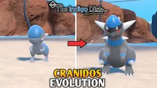 Cranidos Evolution In Pokemon Scarlet & Violet : The Indigo Disk DLC