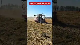 Mini combine harvester 🔥 #shorts #miniharvester #agriculture