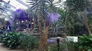 Magical Pantropica (voorheen de Orchidee&euml;n Hoeve #pantropica #Orchidee&euml;nhoeve #nederlands