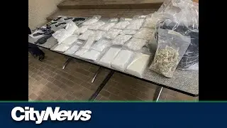 2 men facing 102 charges after Edmonton drug bust