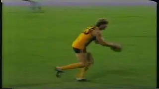 Footscray v Hawthorn 1991 Foster's Cup