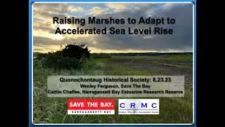 Salt Marsh Restoration Program