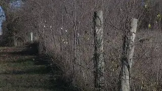 Details, timeline revealed following Basehor police shooting incident