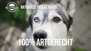 Naturalis Trockenbarf aus 80% Fleisch und 20% Gem&uuml;se + Obst getreidefrei ohne jegliche Zus&auml;tze