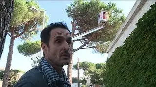 Hérault : Thomas Brail dénonce l'abattage de 22 arbres à La Grande-Motte