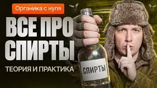 17. Все про спирты | Органика с нуля | Степенин и Дацук